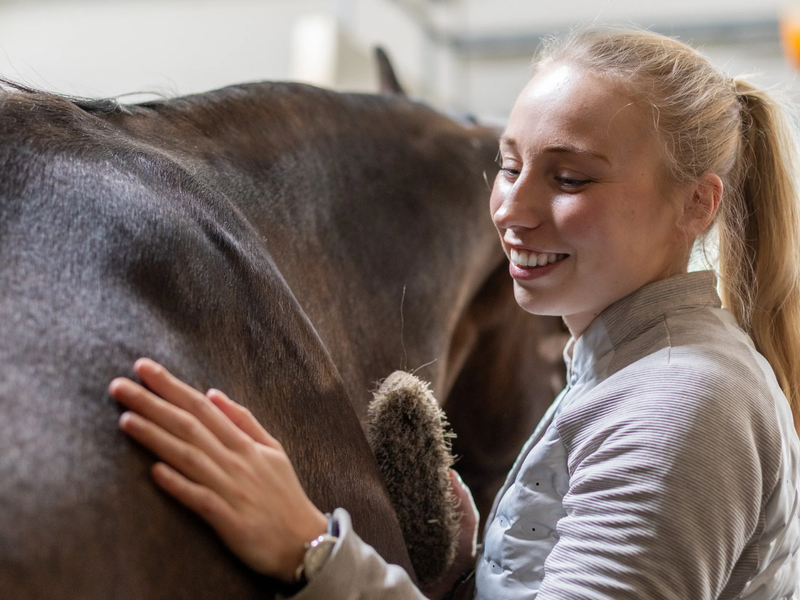 Verharen bij paarden: van een harige wintervacht naar een zomerse glans