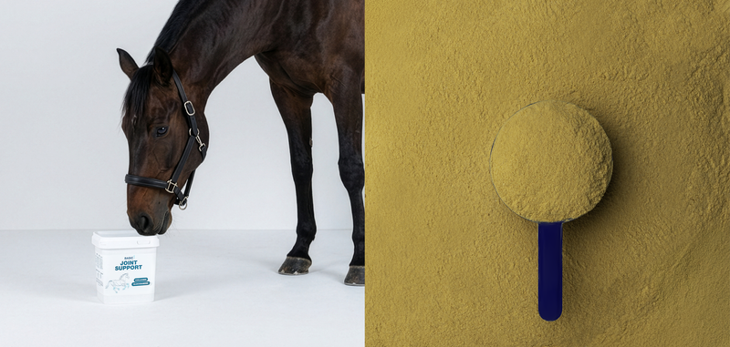 Basic 1: jouw essentiële paardensupplementen