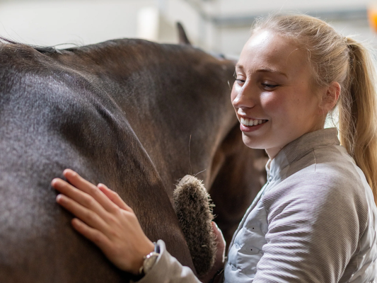 Verharen bij paarden: van een harige wintervacht naar een zomerse glans