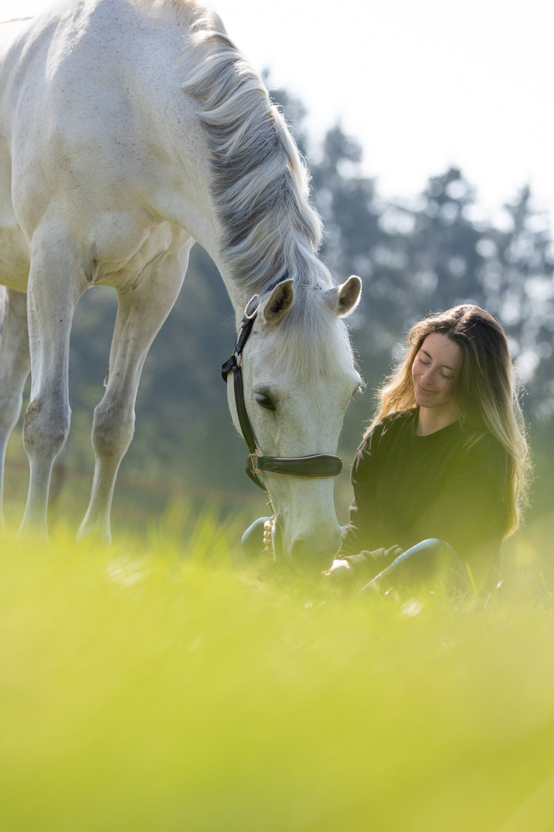 Grazen in de lente: zo voorkom je buikpijn bij je paard