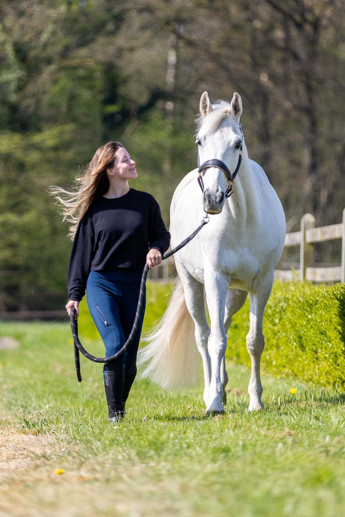 De ultieme gids voor de overgang van stal naar weide voor paarden