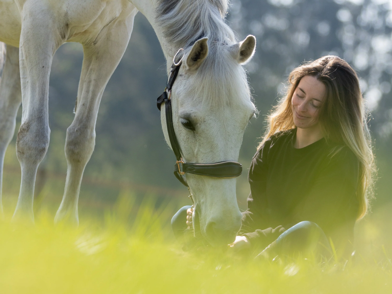 Vitamine E voor je paard: waarom geven en wanneer het belangrijk is