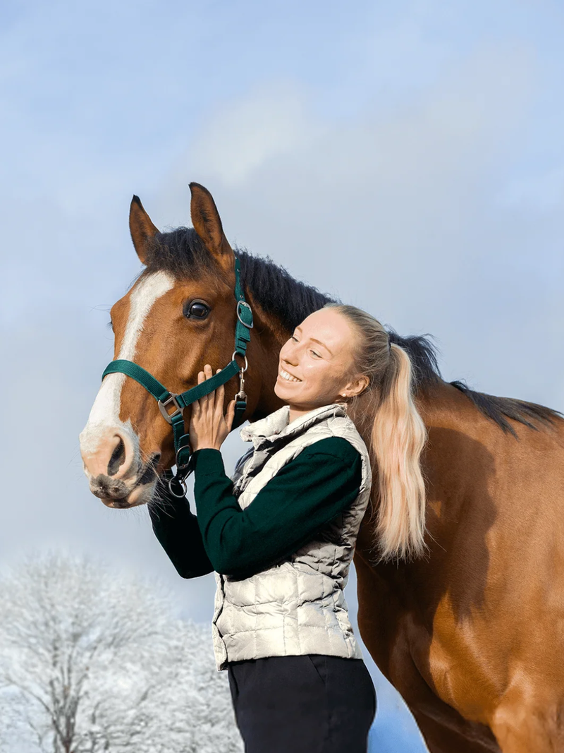 Goede voornemens voor 2026: je paard het hele jaar gezond