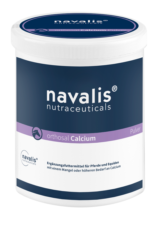 Orthosal Calcium Horse