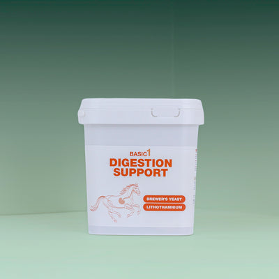 Digestion Support