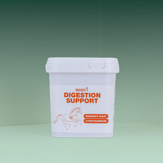 Digestion Support