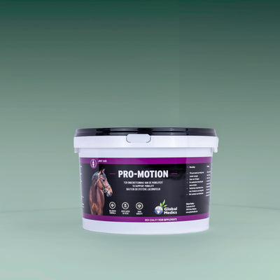 Pro-Motion