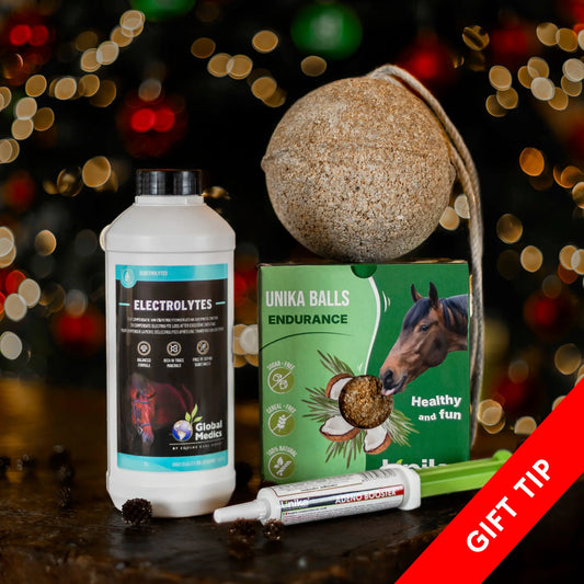 Gift for your athletic horse