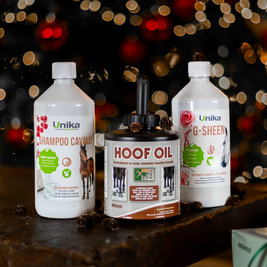 Cadeau voor je mooie paard