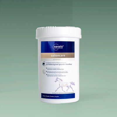 Coloncare Horse