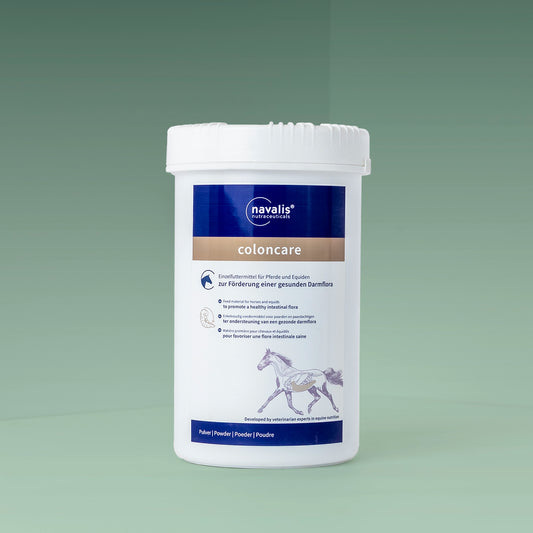 Coloncare Horse