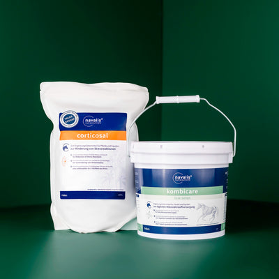 Metabolism Bundle