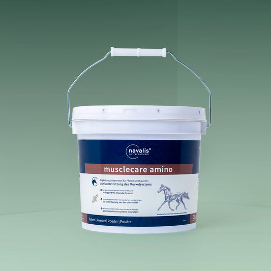 Musclecare Amino Horse