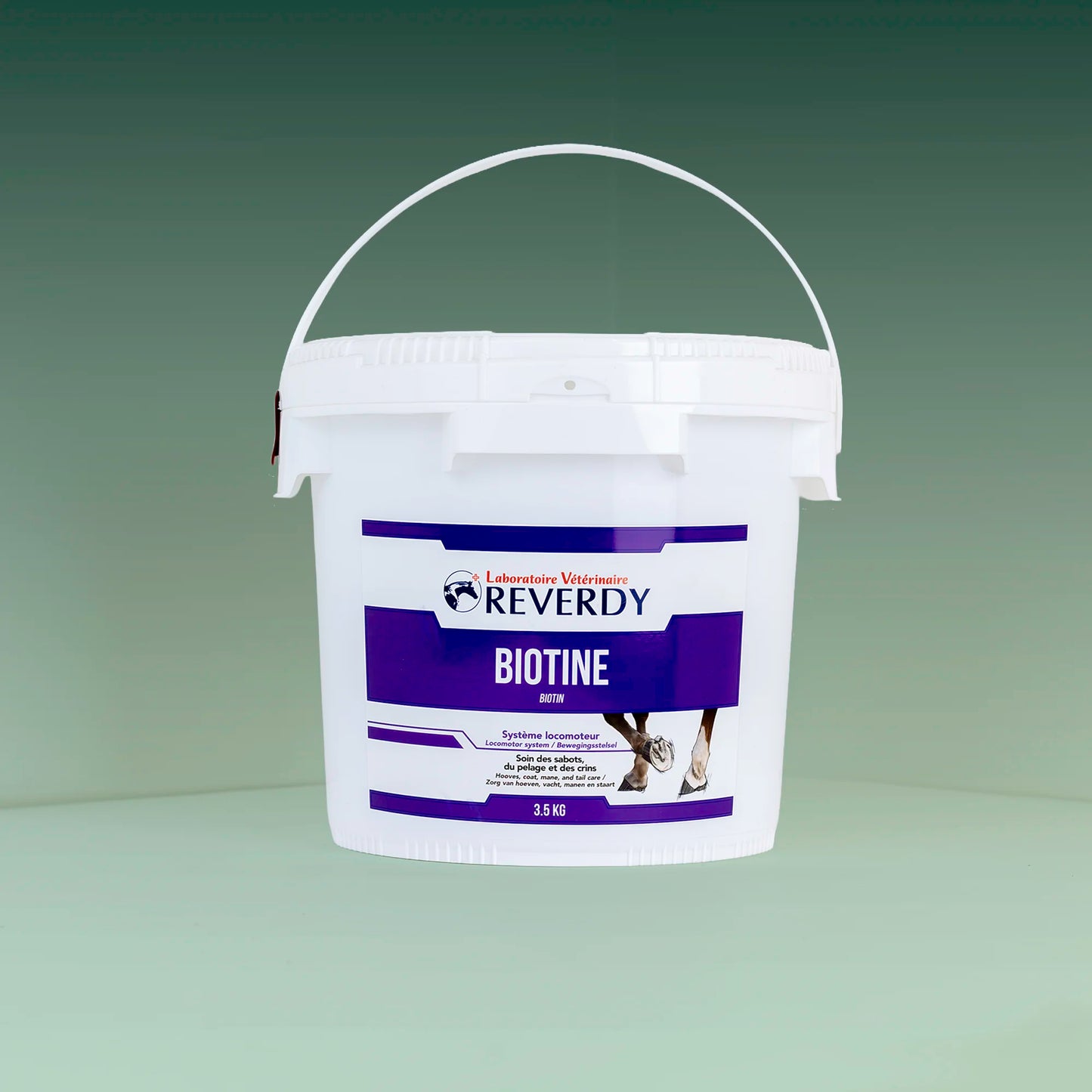 Biotine