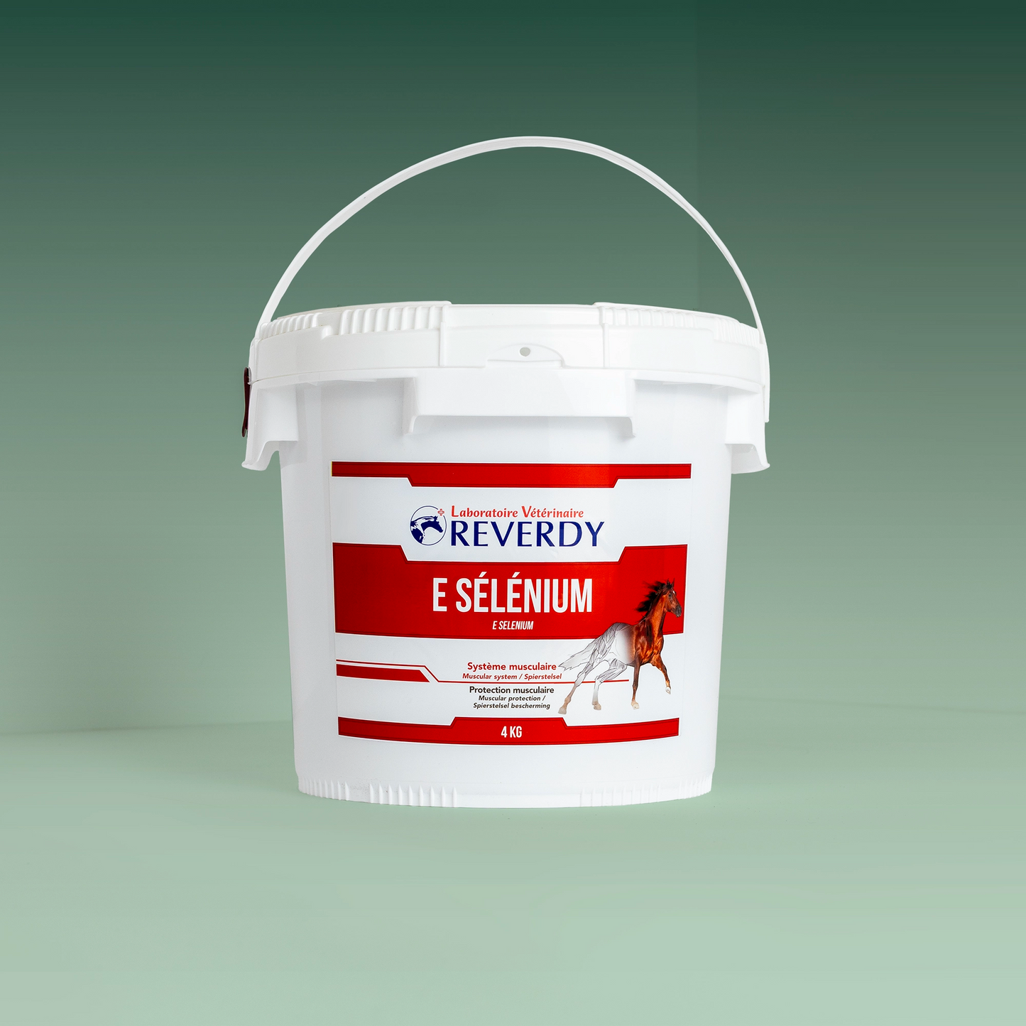 E Selenium