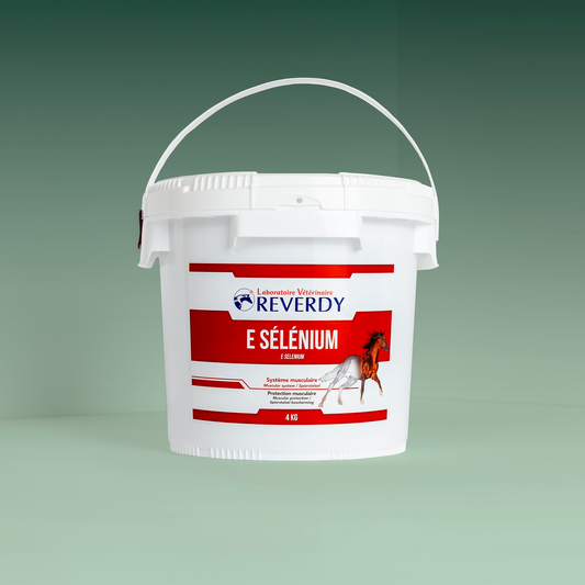 E Selenium