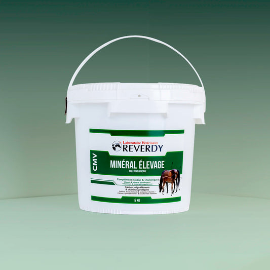 Mineral Elevage