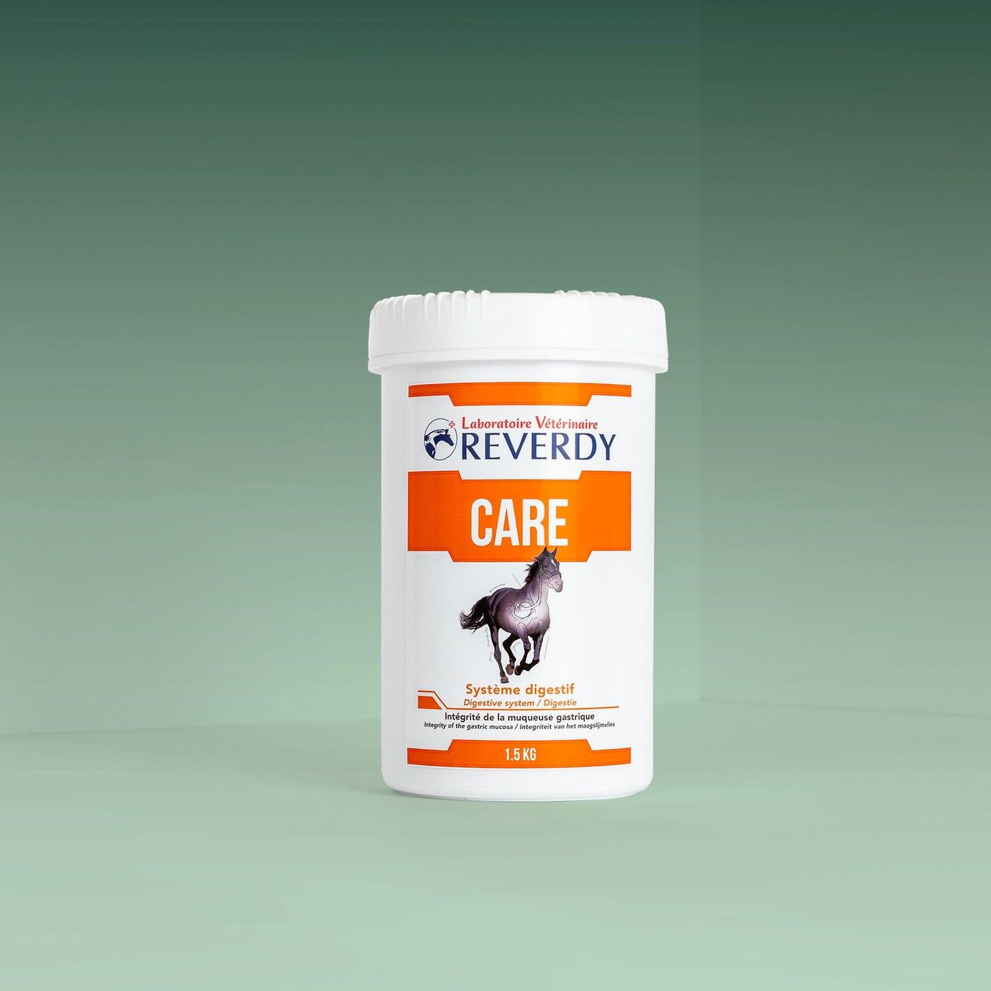Reverdy Pack Soutien Gastrique