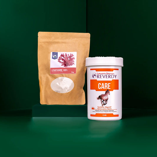 Sensitive Stomach Supplement Bundle