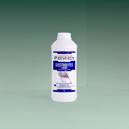 Electrolytes Liquide