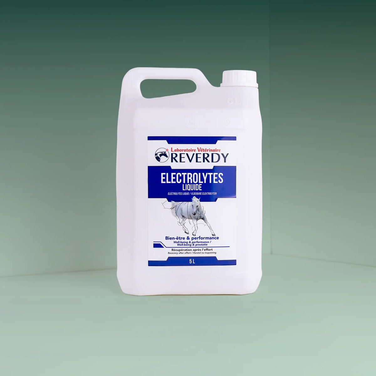 Electrolytes Liquide