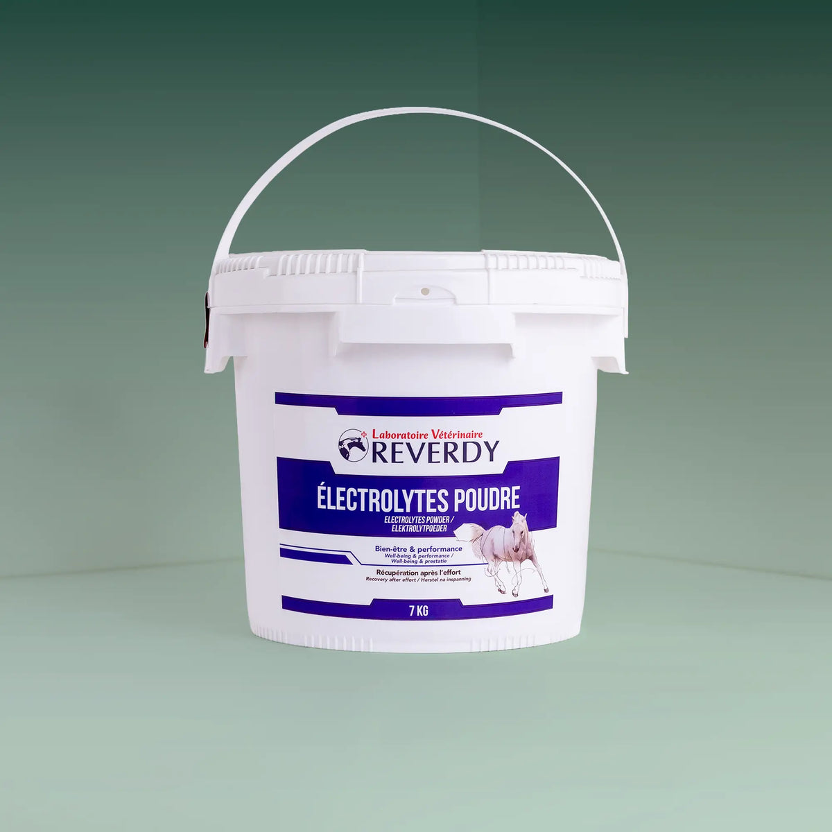 Electrolytes Poudre