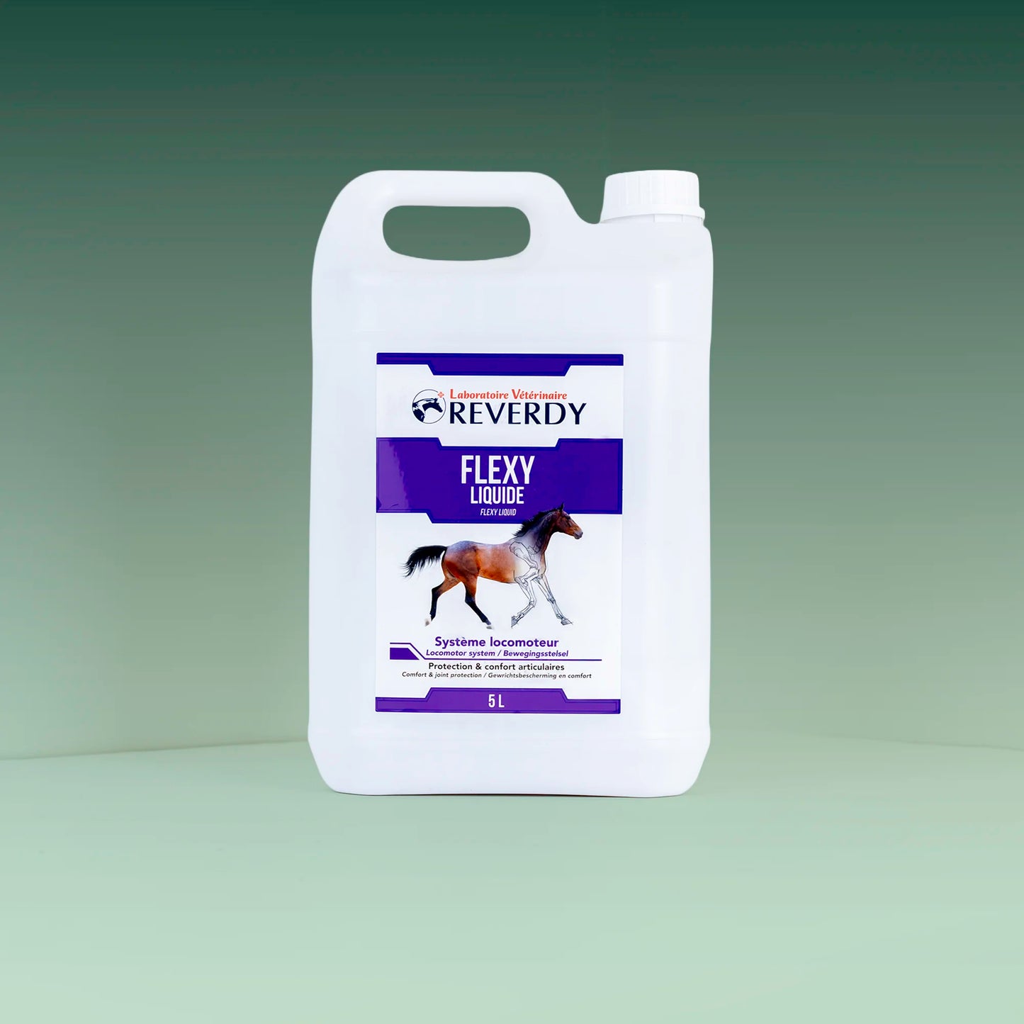 Flexy Liquide