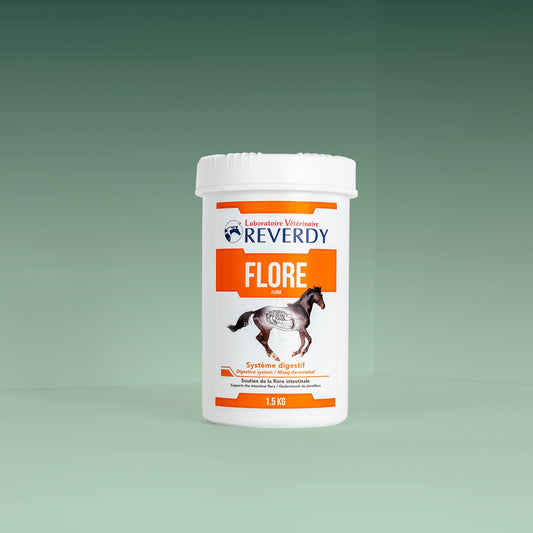 Flore