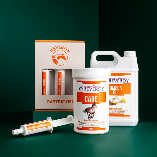 Gastric Support Bundle