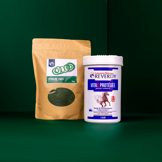 Immunity Boost Bundle