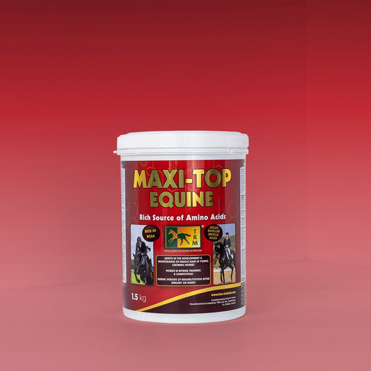 Maxitop Equine