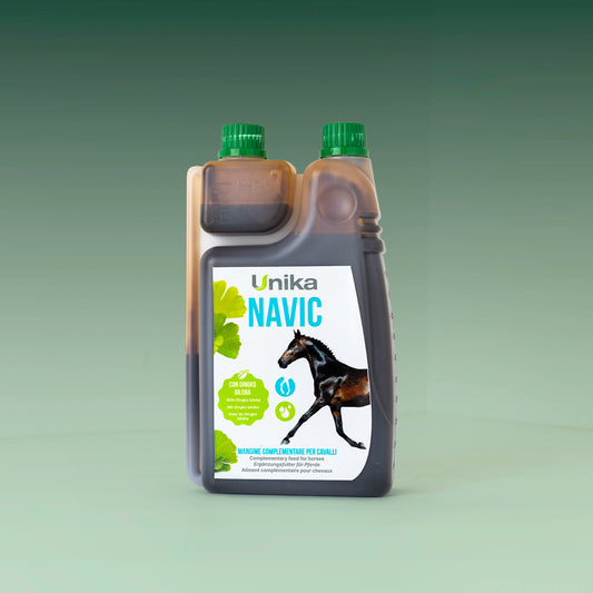 Navic