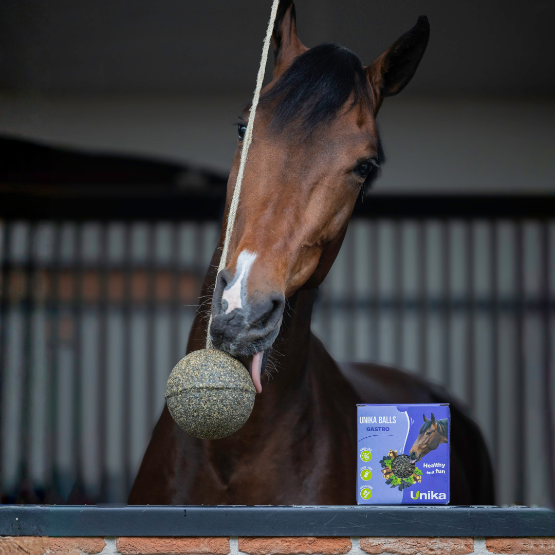 Unika Balls Gastro