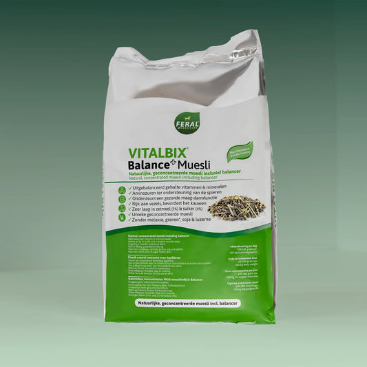 Balance+ Muesli