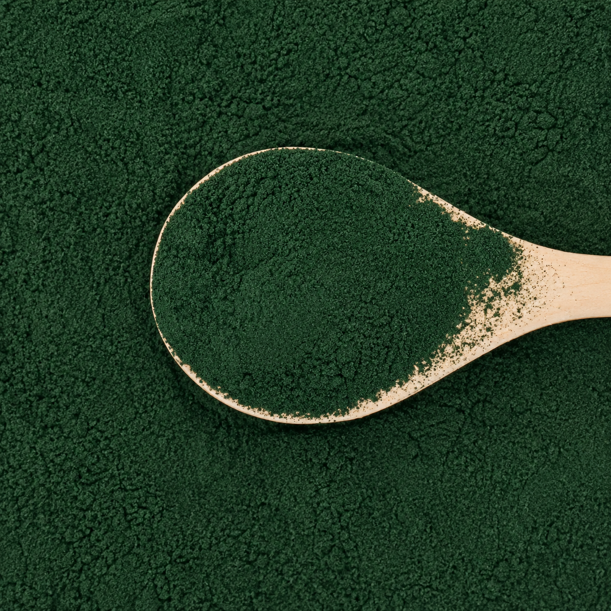 Spiruline